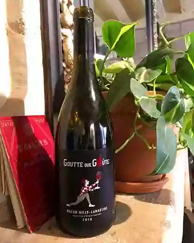La Cave à vins - Restaurant Le Chien Fou - Tours - Restaurant avec terrasse Tours