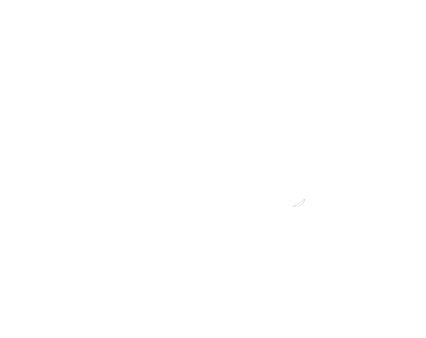 Logo Le Chien Fou
